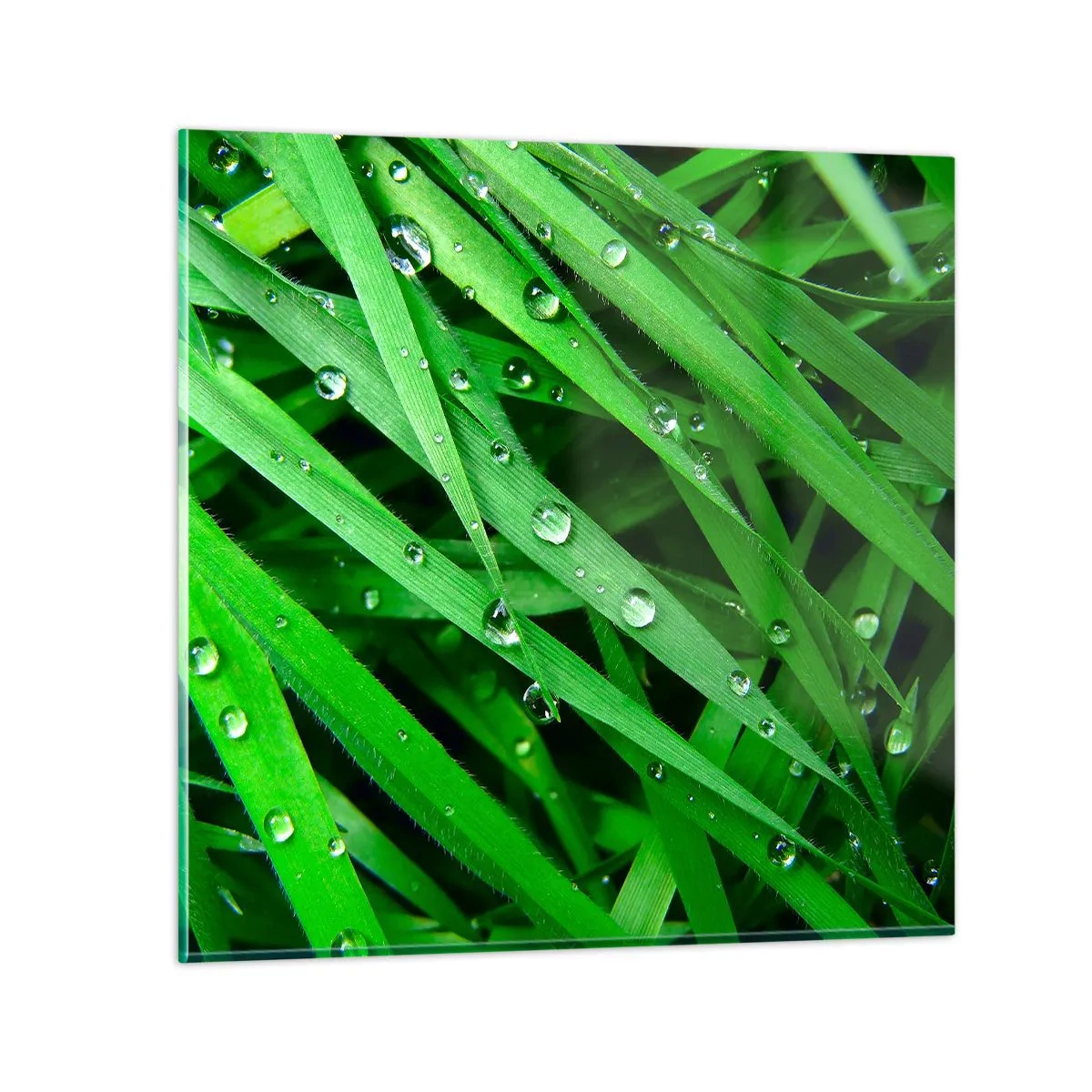 Glastavla - Bild på glas - Spela grönt - 40x40 cm