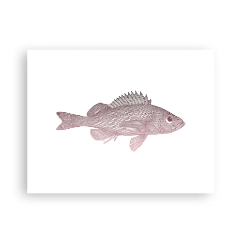 Affisch - Storögd fisk - 40x30 cm