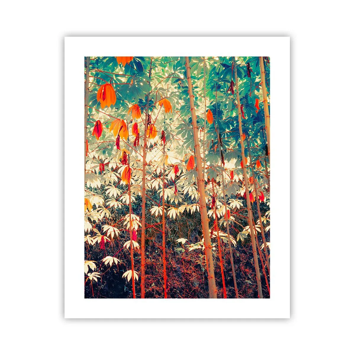 Affisch - Lövbladens hemlighetsfulla liv - 40x50 cm