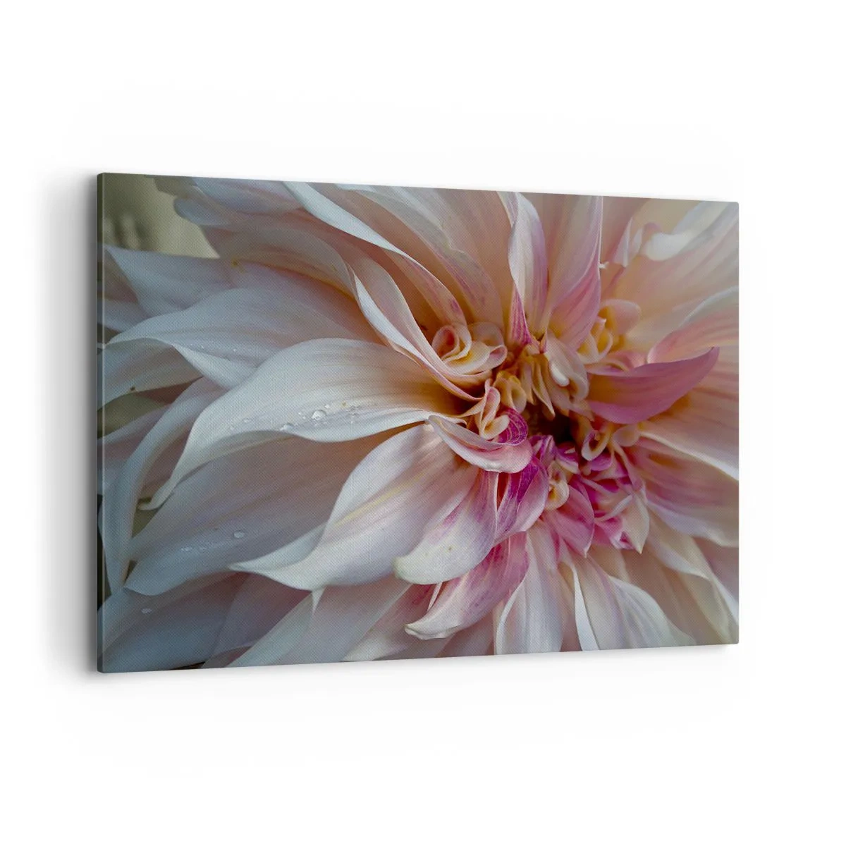 Canvastavla - Bild på duk - Blommande friskhet - 100x70 cm