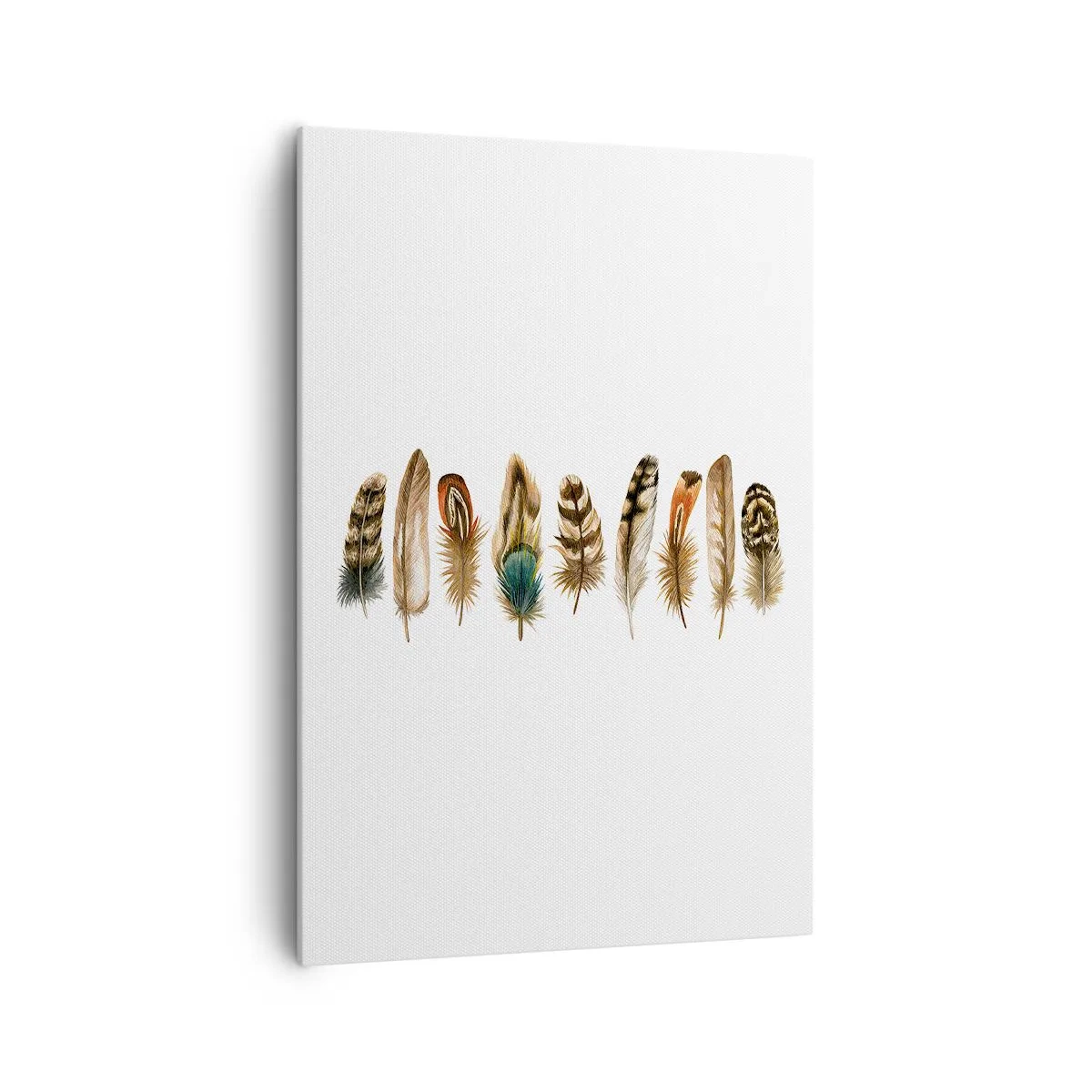 Canvastavla - Bild på duk - Fjädervariation - 70x100 cm