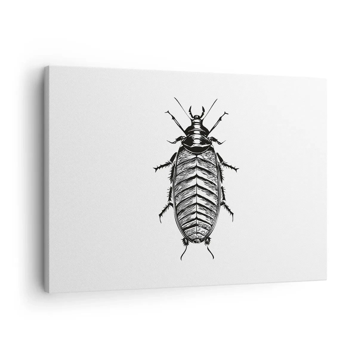 Canvastavla - Bild på duk - Grafik av en svartvit insekt på en vit bakgrund - 70x50cm - Vilket exemplar! - Modern väggdekoration för vardagsrum och sovrum ARTTOR