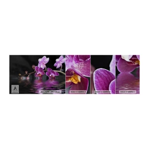 Provbit av självhäftande fototapet Deluxe Sticker - Lila skönhet - Blommor, Orkide, Natur - 100x30 cm