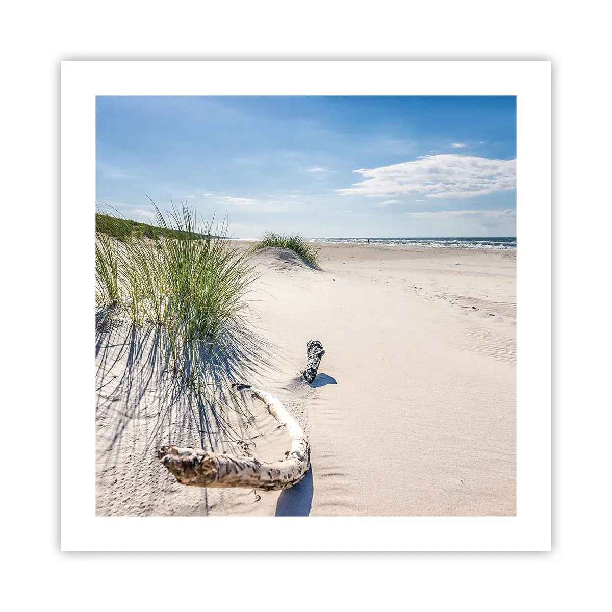 Affisch - Vackrast? Östersjöstrand - 50x50 cm