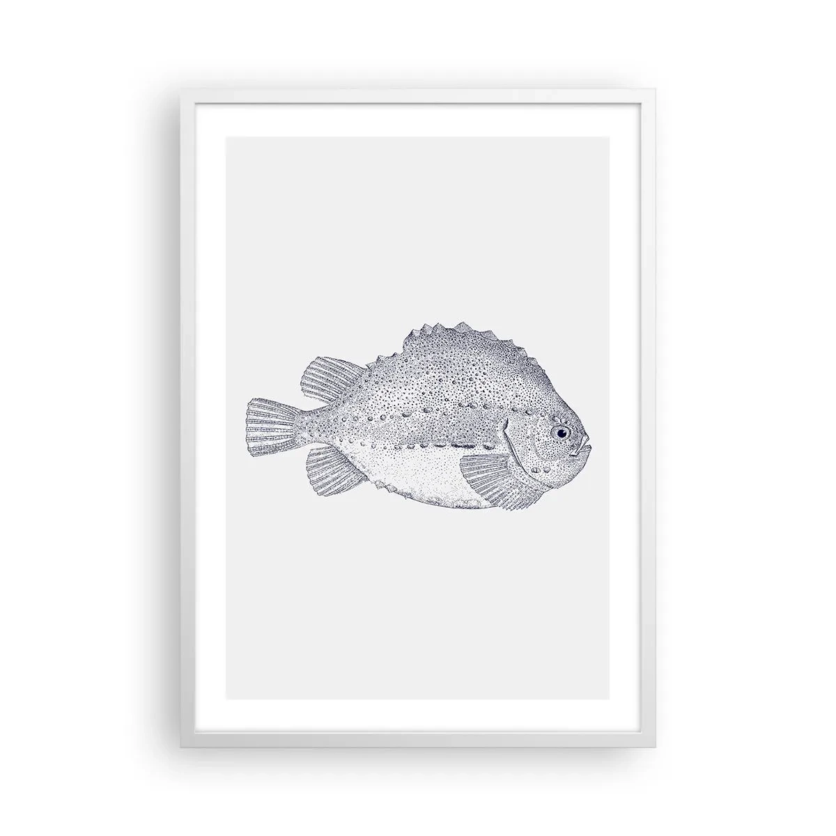 Affisch i vit ram - Till naturforskarens album - 50x70 cm