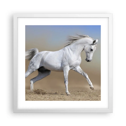 Affisch i vit ram - Den vackraste arabiska sagan - 40x40 cm