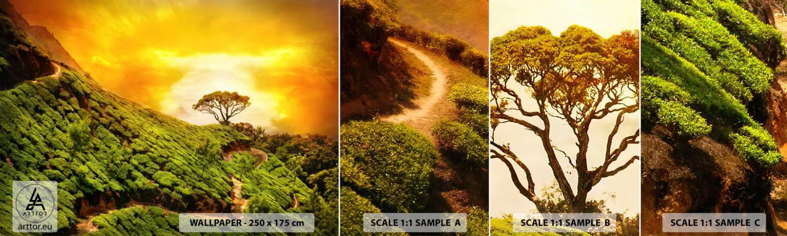 Provbit av självhäftande fototapet Deluxe Sticker - Genom slingrande stig, grön backe - Landskap, Teplantage, Indien - 100x30 cm