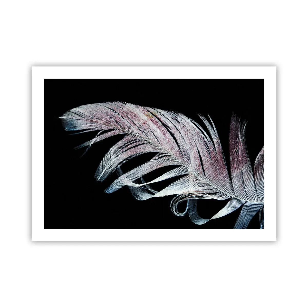 Affisch - Tänk på smekning - 70x50 cm