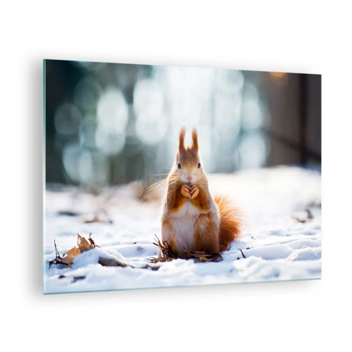 Glastavla - Bild på glas - Ekorre i snön med en nöt i vinterskogen - 70x50cm - Vad glor du på? - Modern väggdekoration för vardagsrum och sovrum ARTTOR