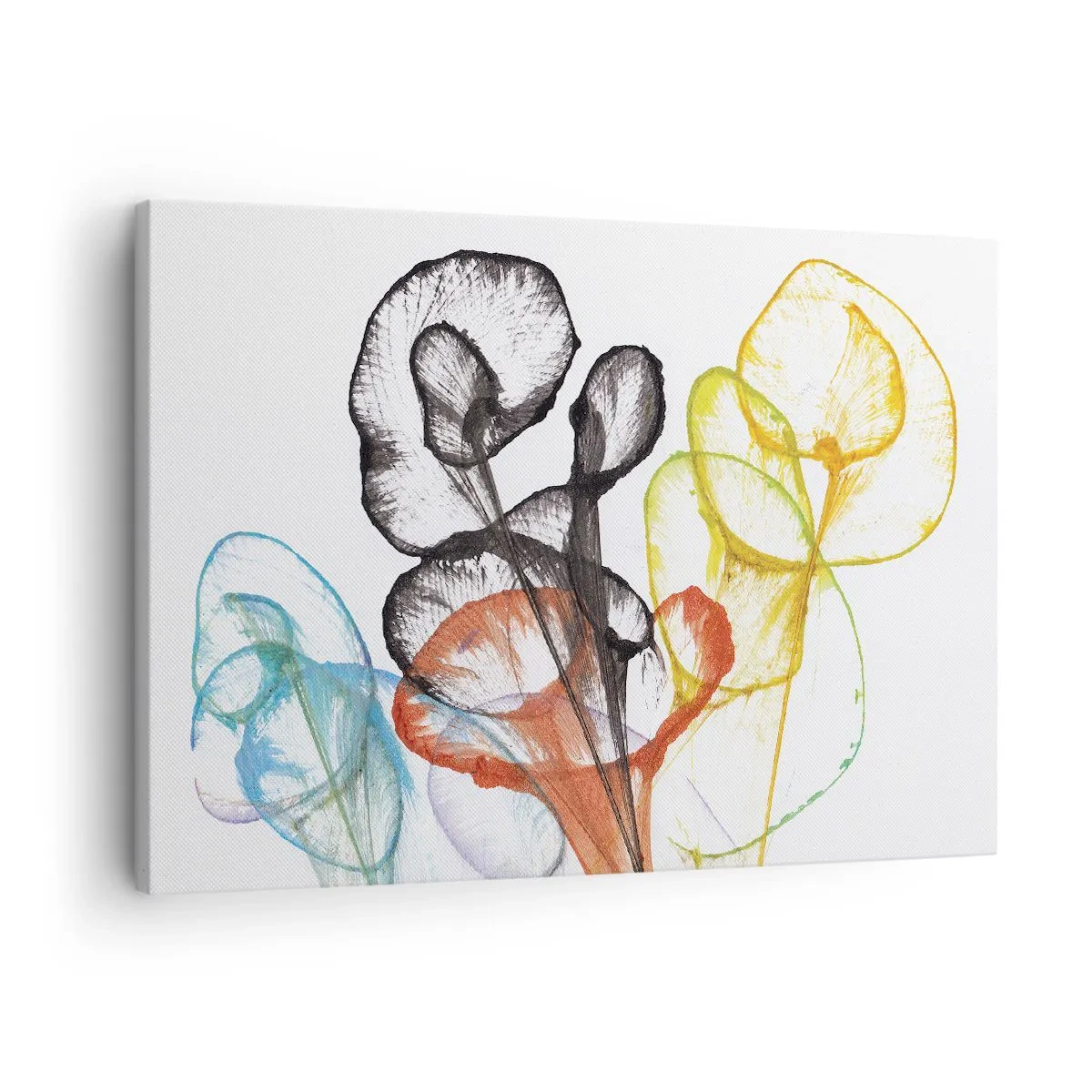 Canvastavla - Bild på duk - Färgglada genomskinliga blommor på en vit bakgrund - 70x50cm - Blommor med själ - Modern väggdekoration för vardagsrum och sovrum ARTTOR