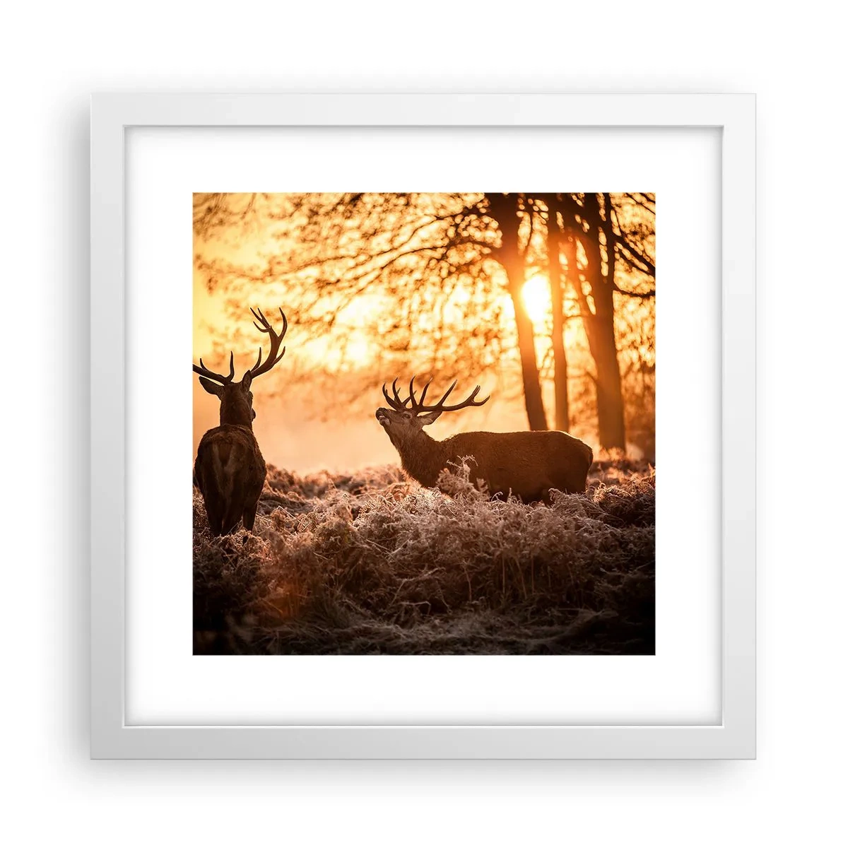 Affisch i vit ram - Jägarens dröm - 30x30 cm