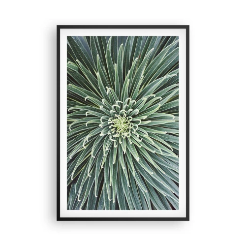 Affisch i svart ram - Stjärna föds - 61x91 cm