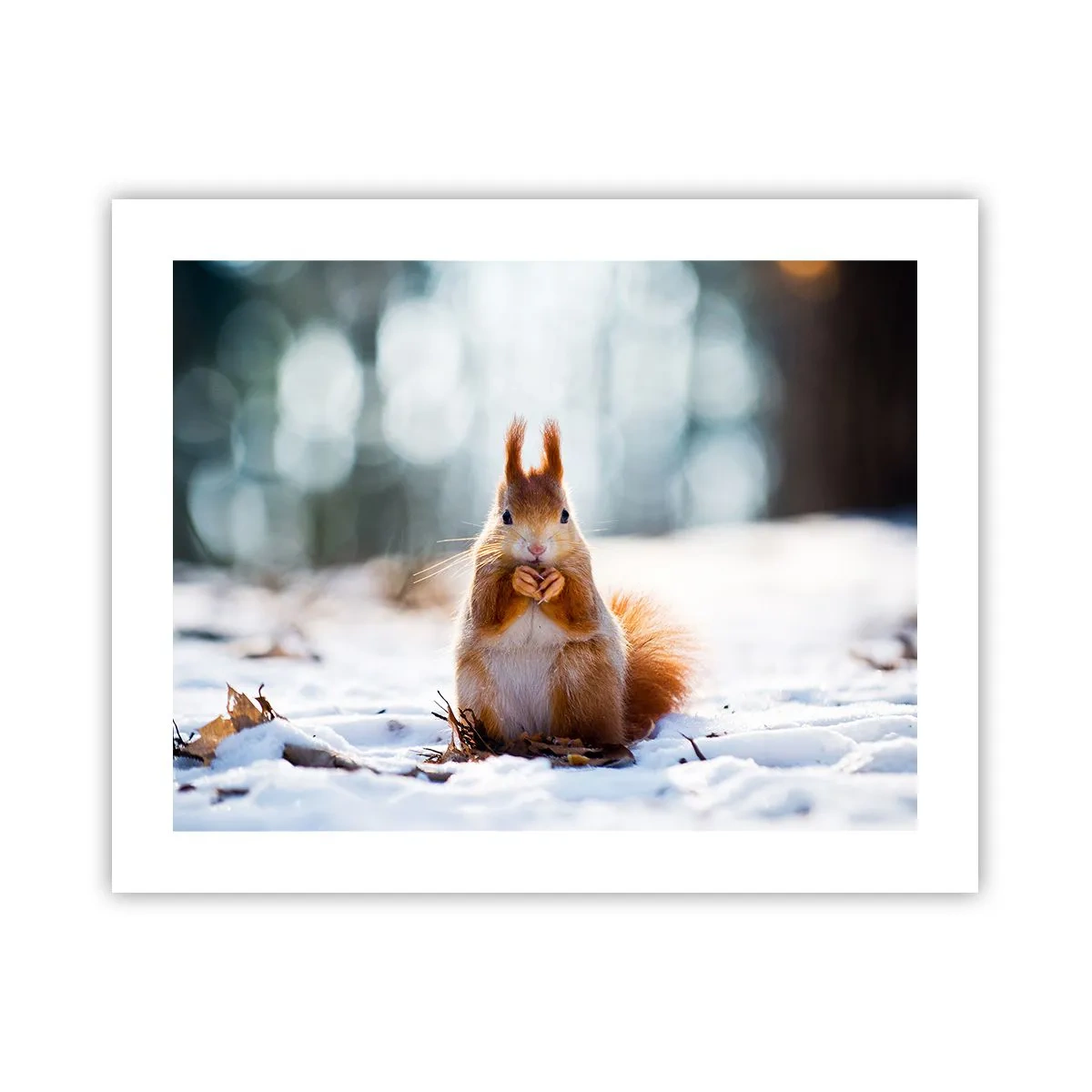 Affisch - Vad glor du på? - 50x40 cm