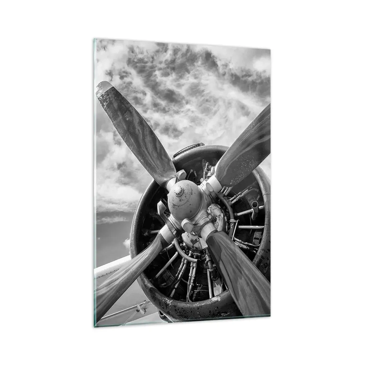 Glastavla - Bild på glas - Luftrummets härskare - 80x120 cm