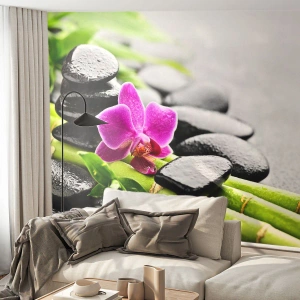 Självhäftande Fototapet Deluxe Sticker - Lugn balans - Blommor, Orkide, Orkide - 300x210 cm