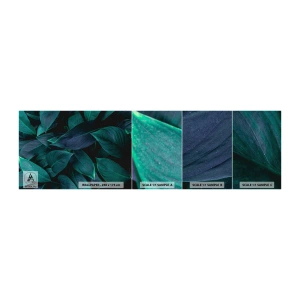 Provbit av självhäftande fototapet Deluxe Sticker - Grönskan själv - Löv, Natur, Botanik - 100x30 cm