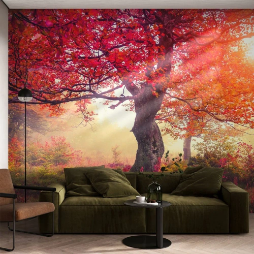 Fototapet Premium Sand - Våldsam blommande - Landskap, Parkera, Blommor - 500x350 cm