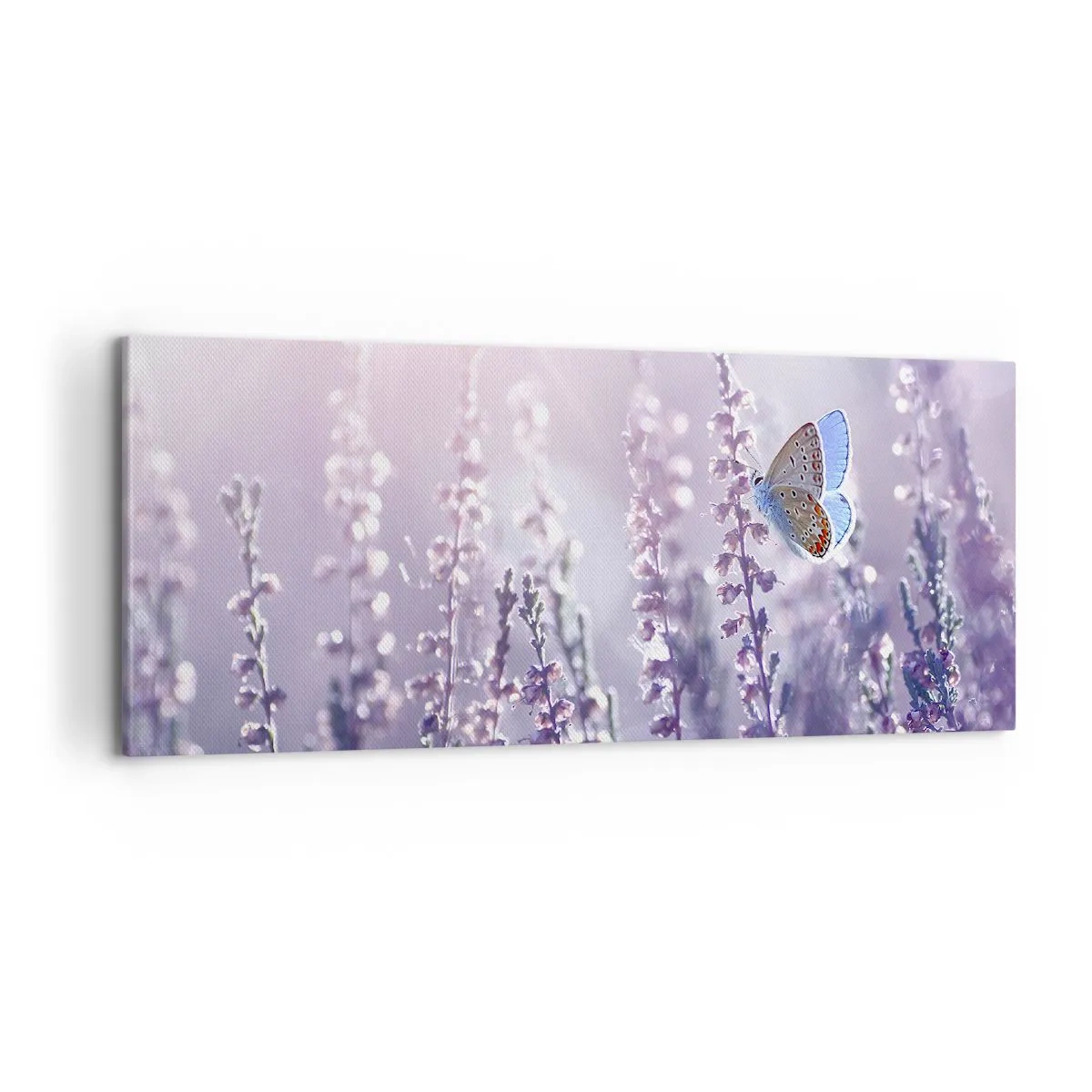 Canvastavla - Bild på duk - En fjärils kyss - 100x40 cm