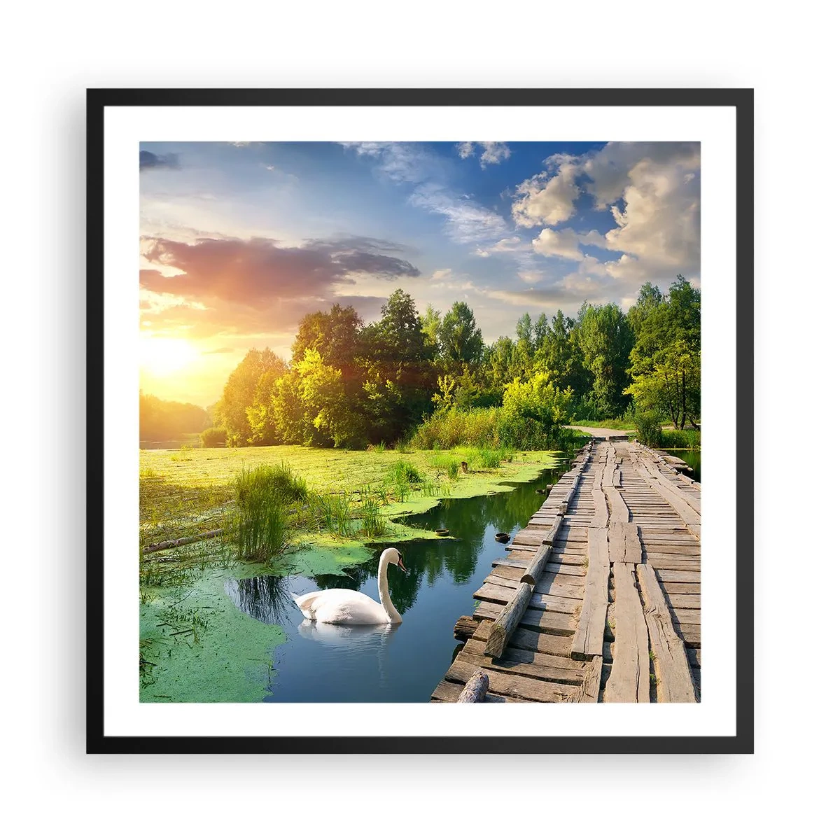 Affisch i svart ram - Sommar, sommar överallt - 60x60 cm