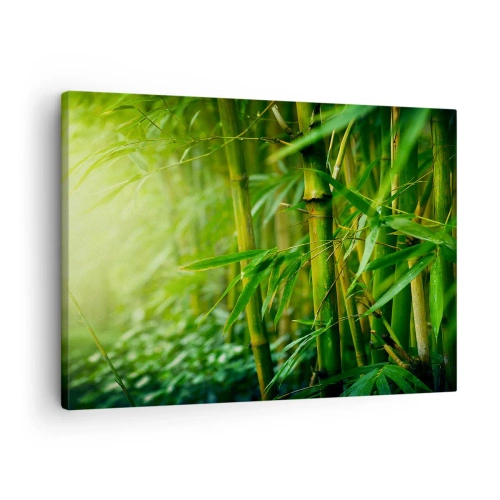 Canvastavla - Bild på duk - Grön bambuskog i mjukt ljus - 70x50cm - Lär känna grönskan i sig - Modern väggdekoration för vardagsrum och sovrum ARTTOR