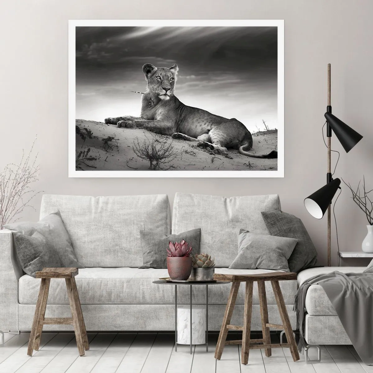 Affisch - Öknens drottnings vila - 100x70 cm