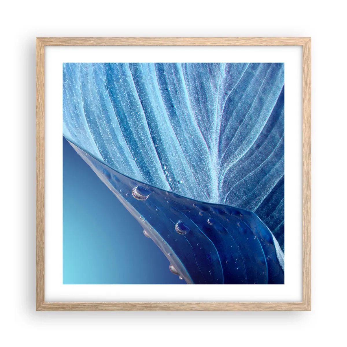 Affisch i ram av ljusek - Dolda droppar av blått - 50x50 cm