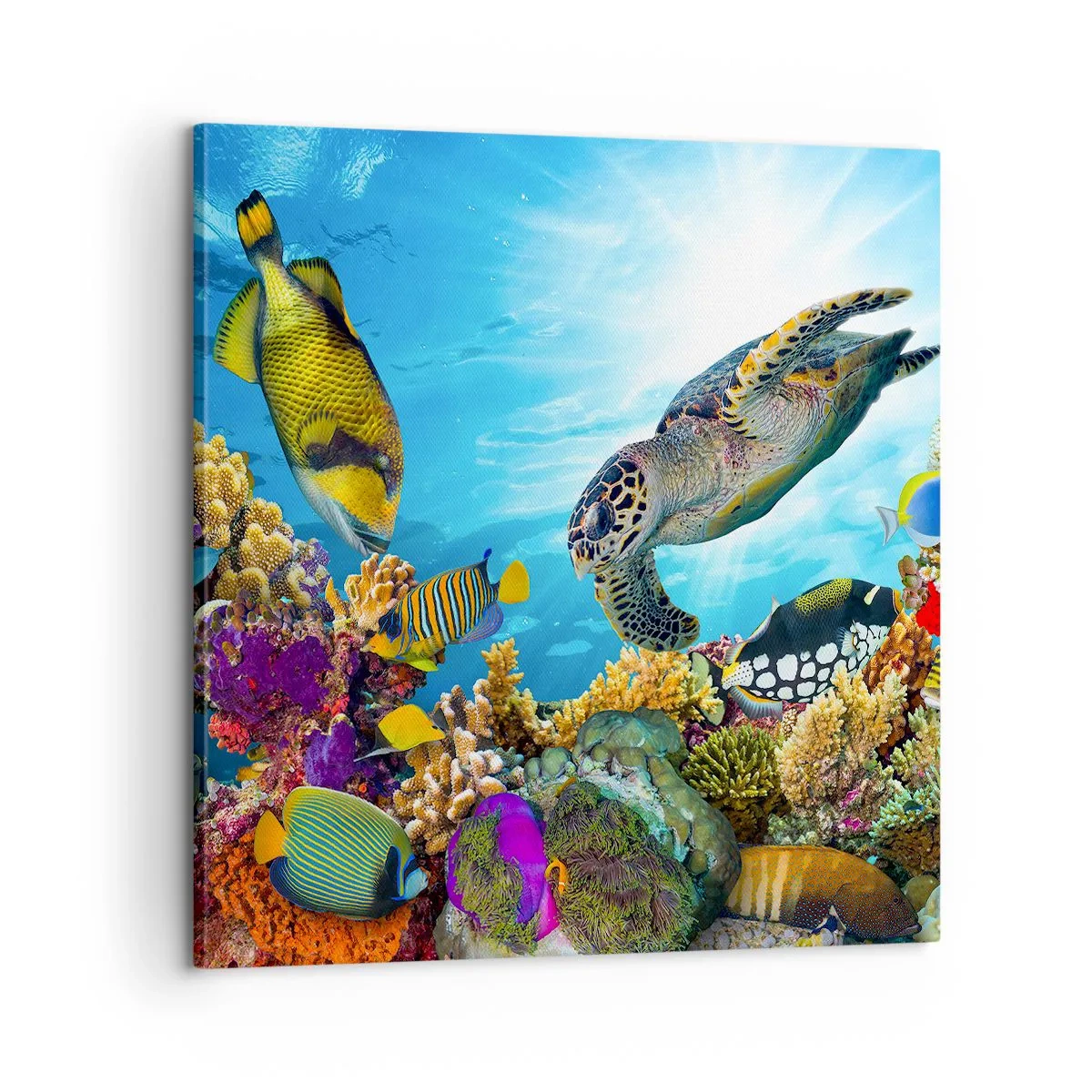 Canvastavla - Bild på duk - Korallpromenad - 60x60 cm