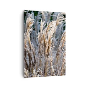 Canvastavla - Bild på duk - Frostprydda - 70x100 cm
