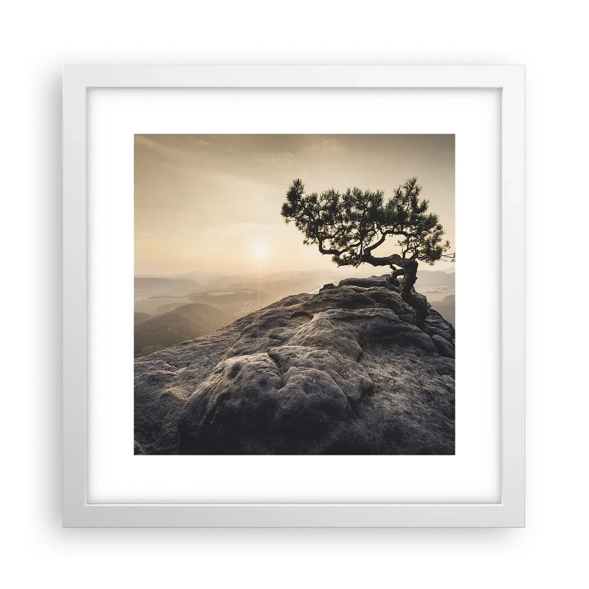 Affisch i vit ram - Livet vinner alltid - 30x30 cm