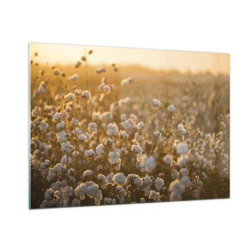Glastavla - Bild på glas - Fluffigt fält - 100x70 cm