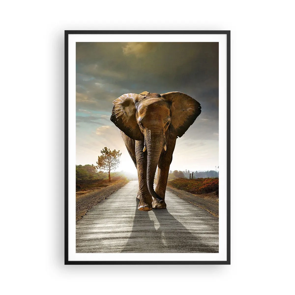 Affisch i svart ram - Inte alls i en porslinsbutik - 70x100 cm