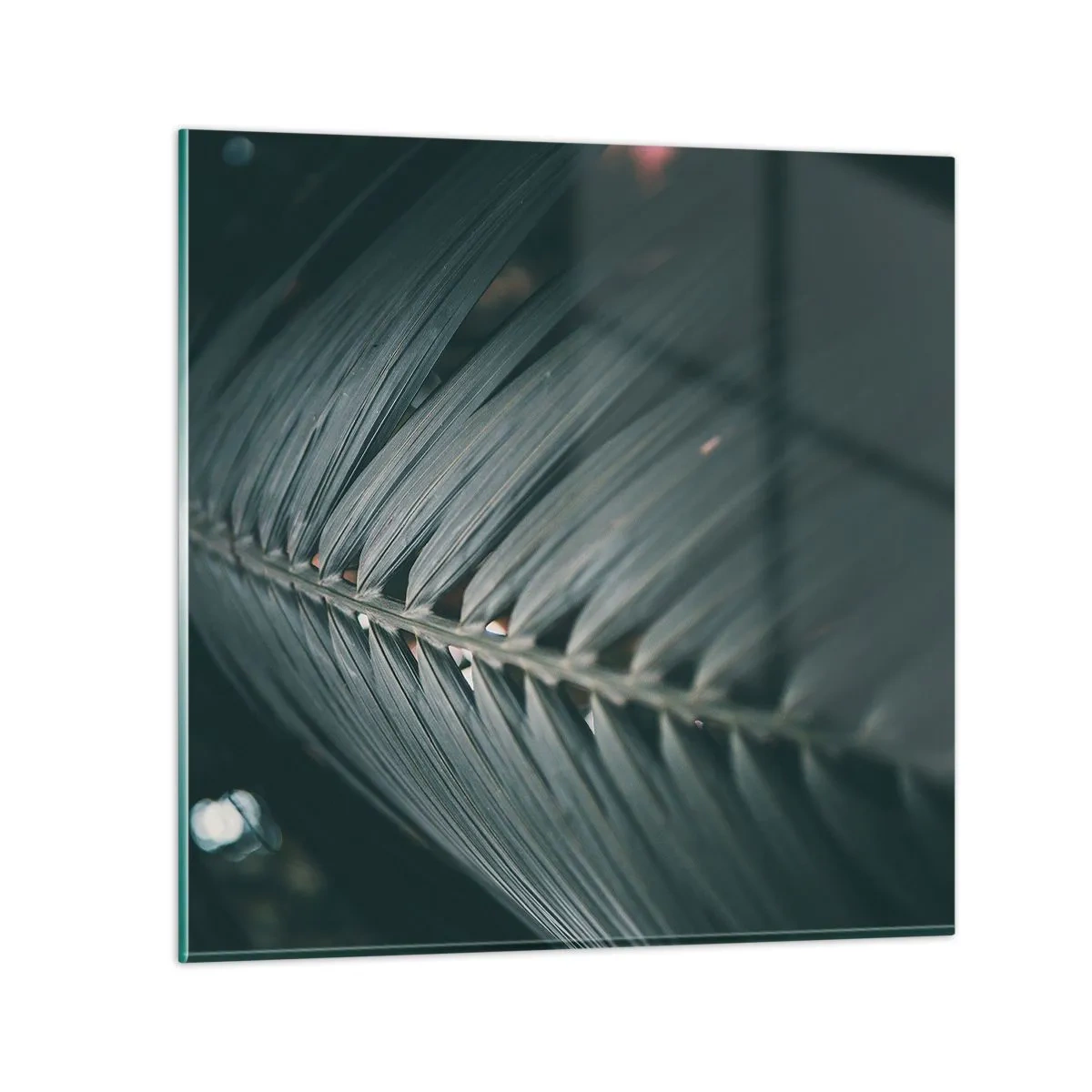 Glastavla - Bild på glas - Naturens precision - 70x70 cm