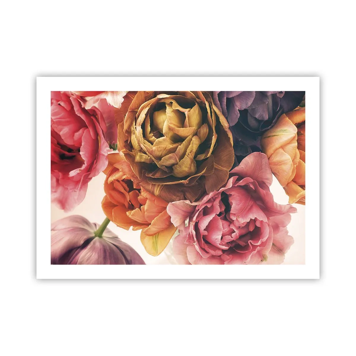 Affisch - Livets högtid - 70x50 cm