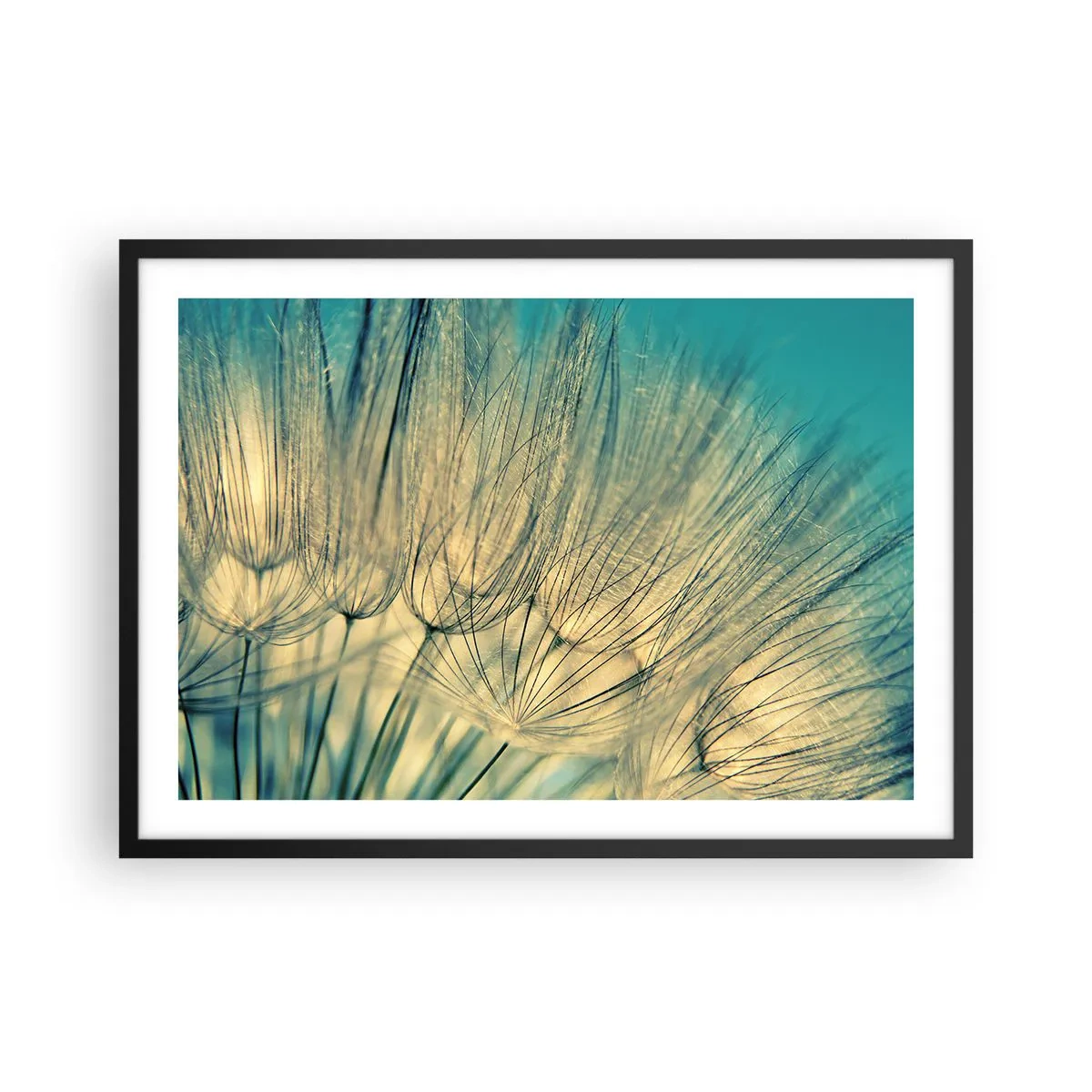 Affisch i svart ram - I väntan på vinden - 70x50 cm