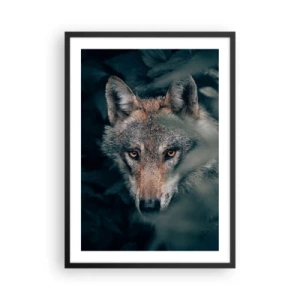 Affisch i svart ram - Porträtt av en varg i en mystisk skogsmiljö - 50x70cm - Jägare - Modern väggdekoration för vardagsrum och sovrum ARTTOR