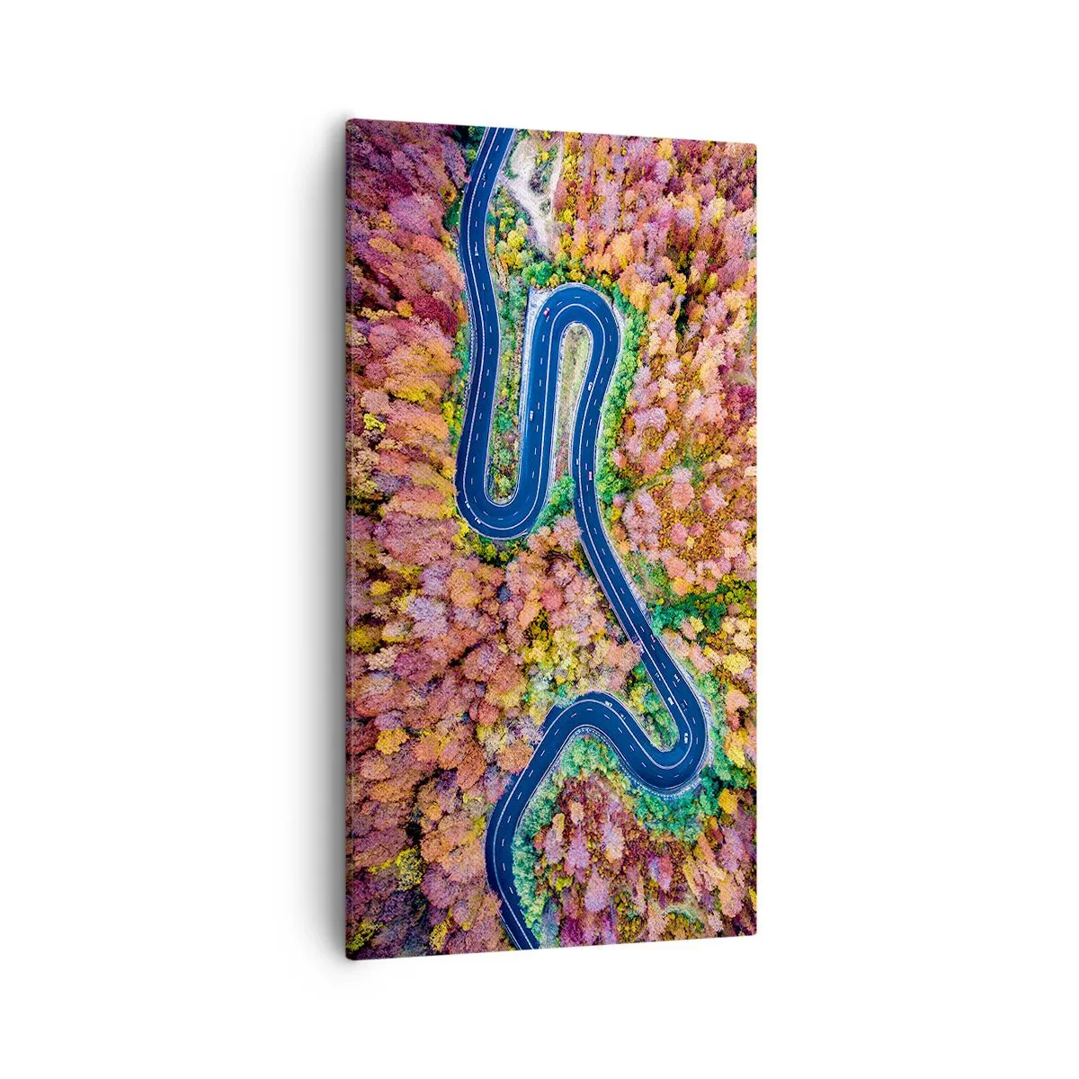 Canvastavla - Bild på duk - Slingrande väg genom skogen - 55x100 cm