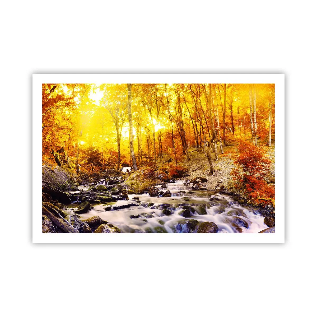 Affisch - Stenar infattade i guld och platina - 91x61 cm