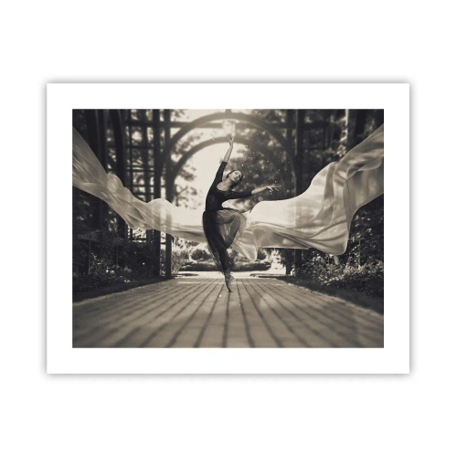 Affisch - Trädgårdsandens dans - 50x40 cm