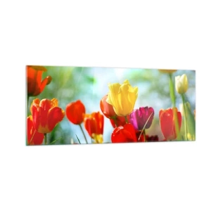 Glastavla - Bild på glas - Solens alla färger - 100x40 cm