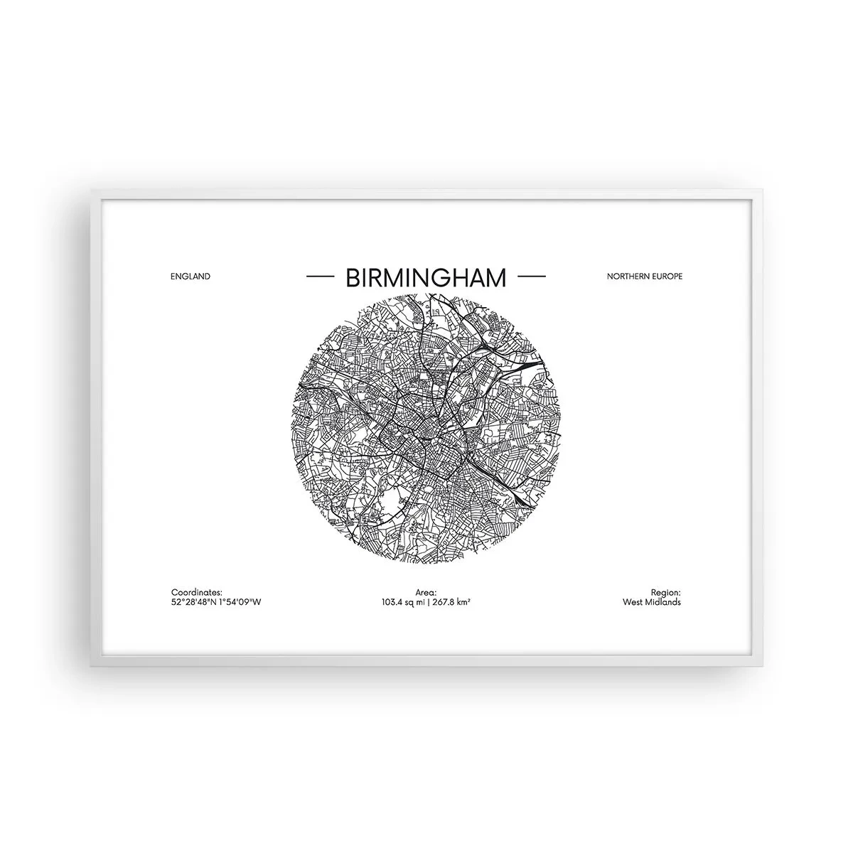 Affisch i vit ram - Birminghams anatomi - 100x70 cm
