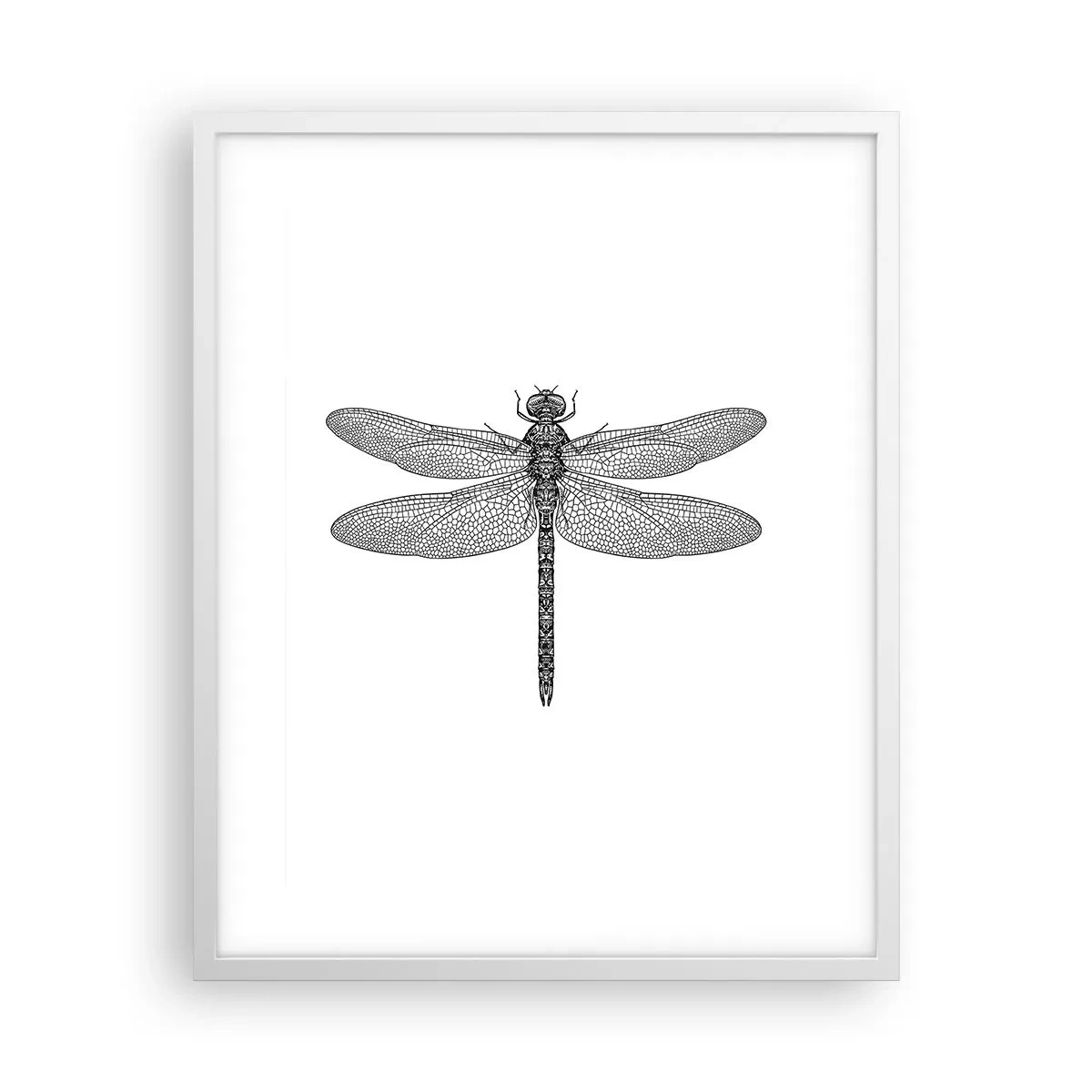 Affisch i vit ram - Precision i naturen - 40x50 cm