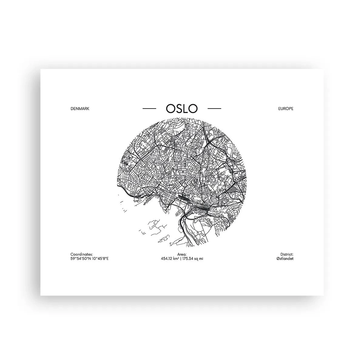 Affisch - Oslos anatomi - 50x40 cm