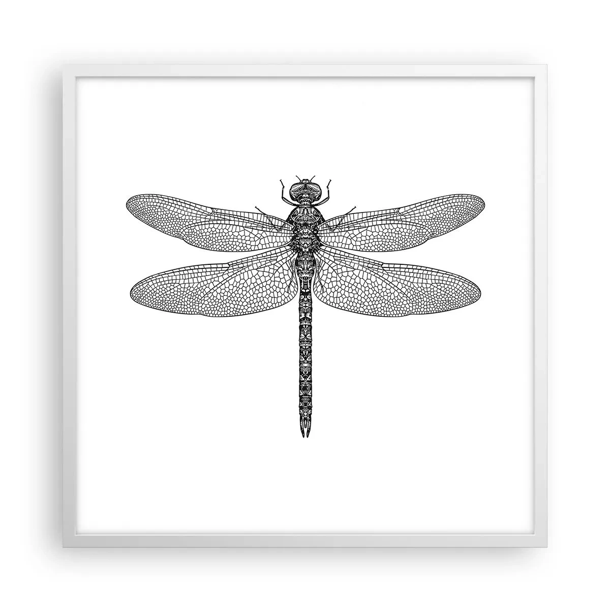 Affisch i vit ram - Precision i naturen - 60x60 cm