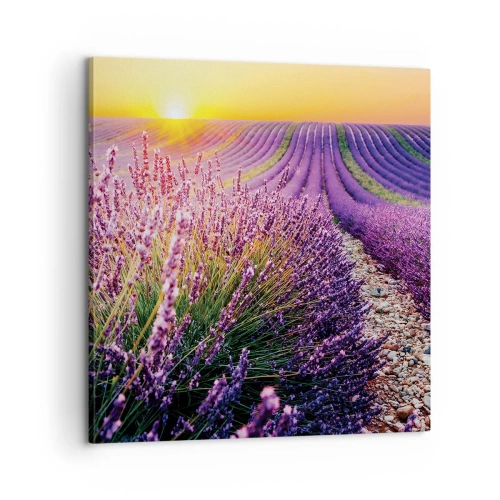 Canvastavla - Bild på duk - Doftande åkermark - 60x60 cm