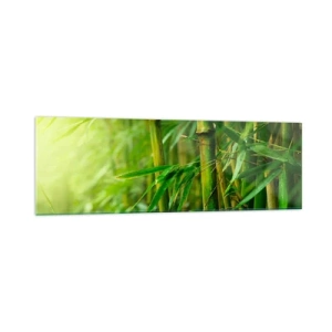 Glastavla - Bild på glas - Lär känna grönskan i sig - 160x50 cm