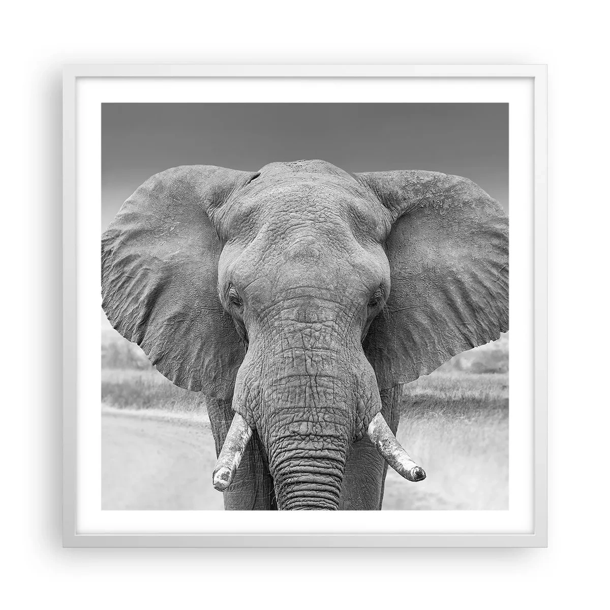 Affisch i vit ram - Välkommen till min värld - 60x60 cm