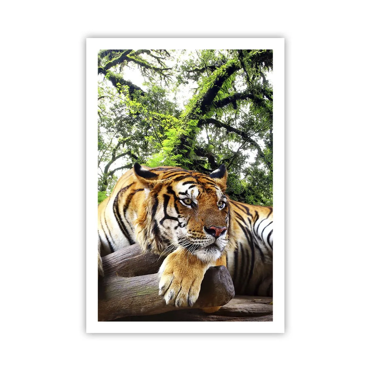 Affisch - Med vänlig hälsning - 61x91 cm