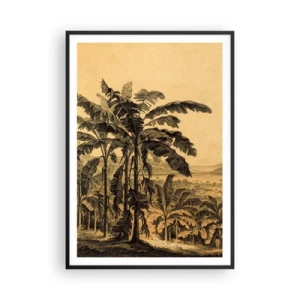 Affisch i svart ram - I kolonial stämning - 70x100 cm