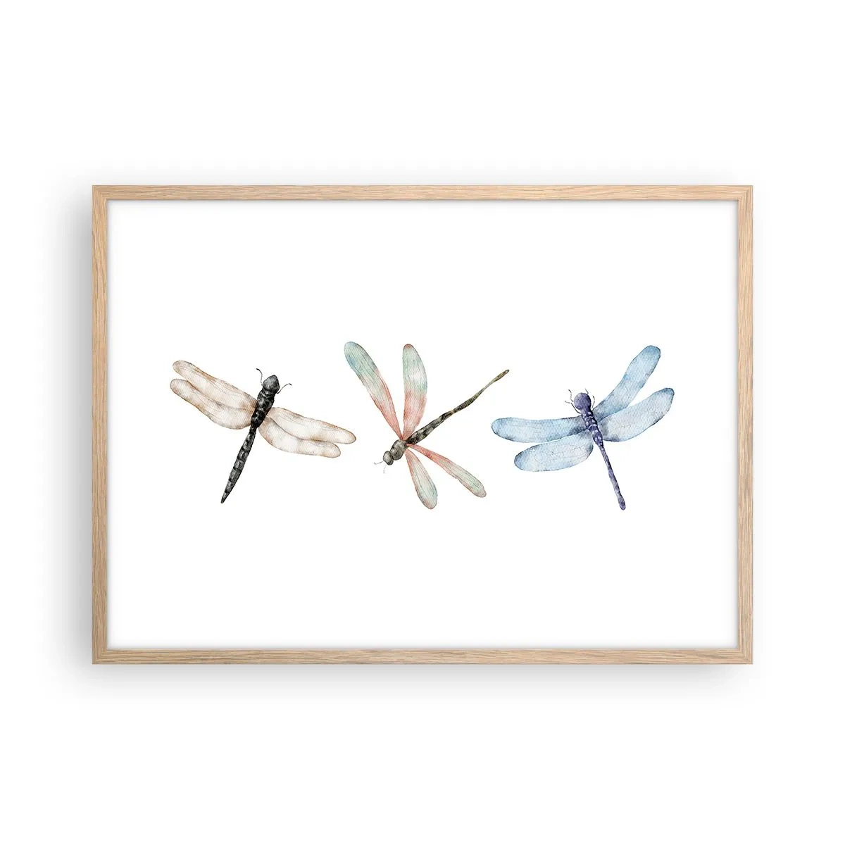 Affisch i ram av ljusek - Viktlösa trollsländor - 70x50 cm