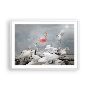 Affisch i vit ram - Hur har jag hamnat här? - 70x50 cm